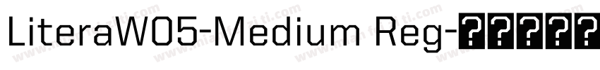 LiteraW05-Medium Reg字体转换